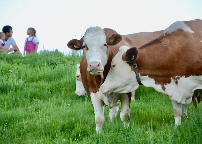 Ξενοδοχείο Boutiquehotel Alpbacherin 4 Sterne Superior 4*