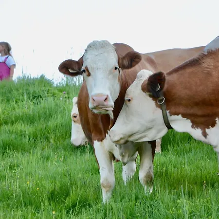 Hotel Boutiquehotel Alpbacherin 4 Sterne Superior 4*